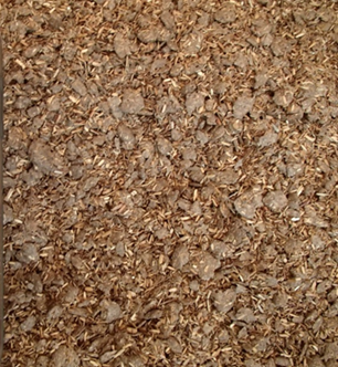 Figure 1 a.png