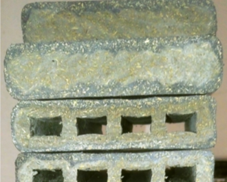 Figure 1 c.png